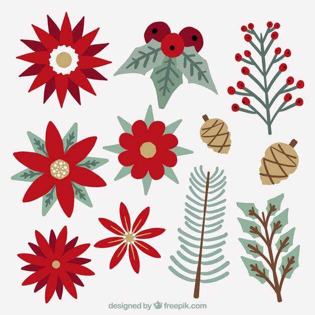 Colección de flores de pascua con muérdago y plantas invernales