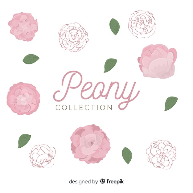 Vector gratuito colección de flores peonía en diseño dibujo a mano