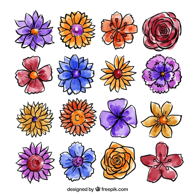 Colección de flores pintadas con acuarela
