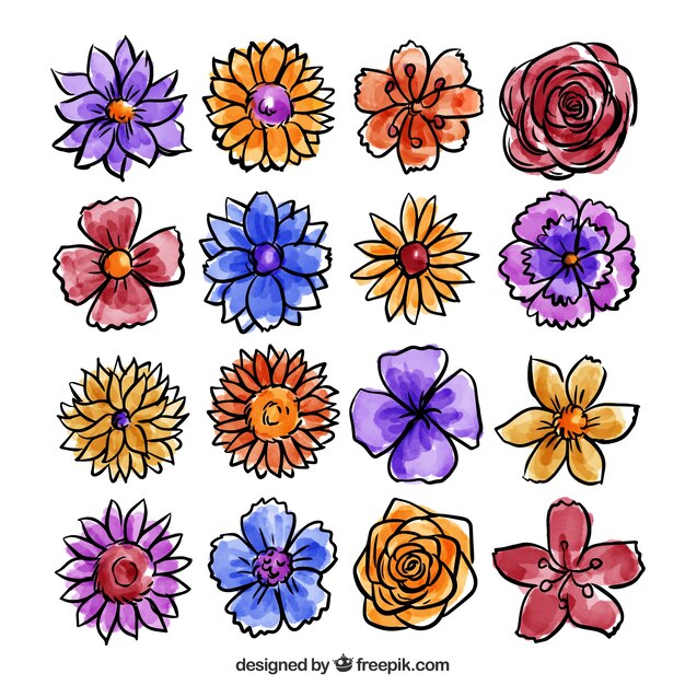 Colección de flores pintadas con acuarela