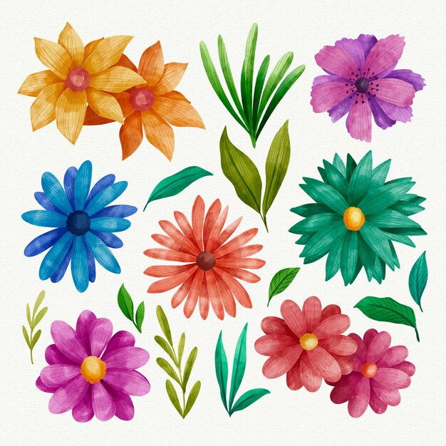 Colección de flores pintadas a mano