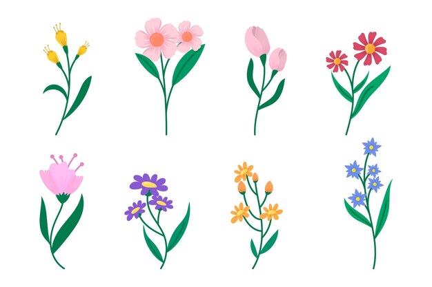 Colección de flores planas orgánicas