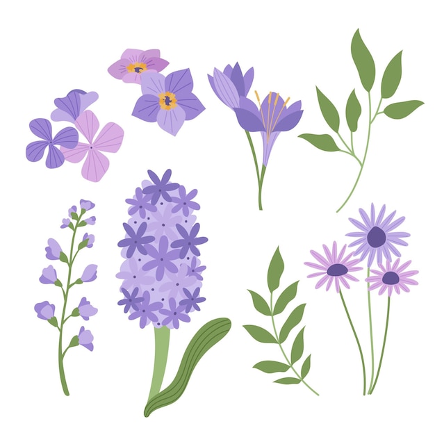 Vector gratuito colección de flores planas orgánicas