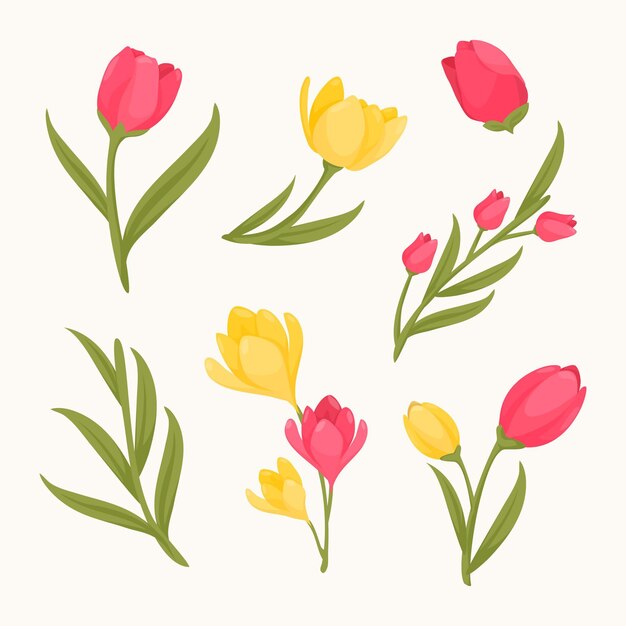 Colección de flores planas orgánicas