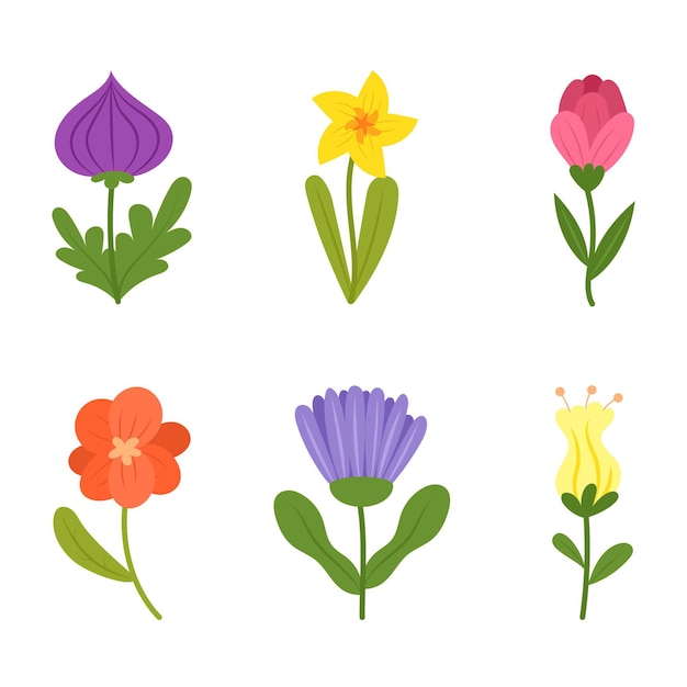 Colección de flores planas orgánicas