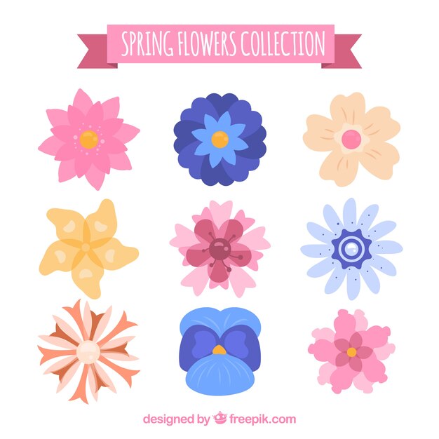 Colección de flores planas de primavera