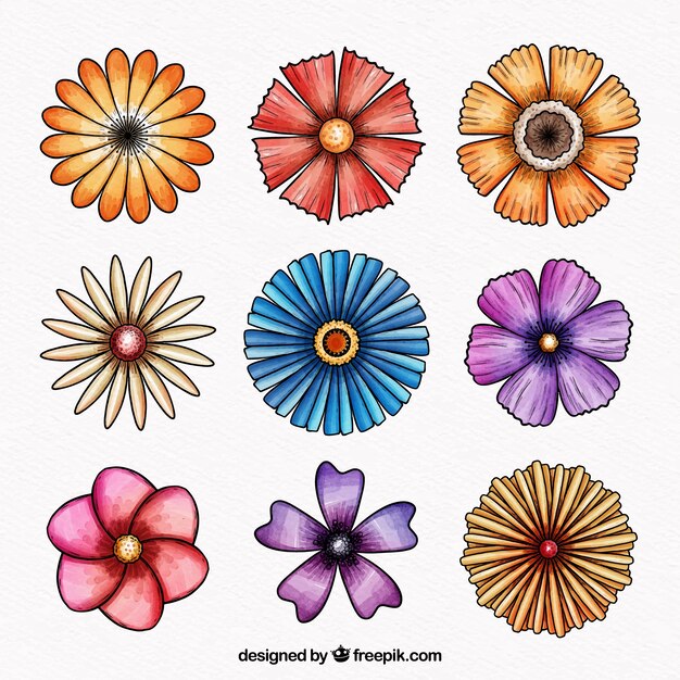 Colección de flores de primavera en acuarela