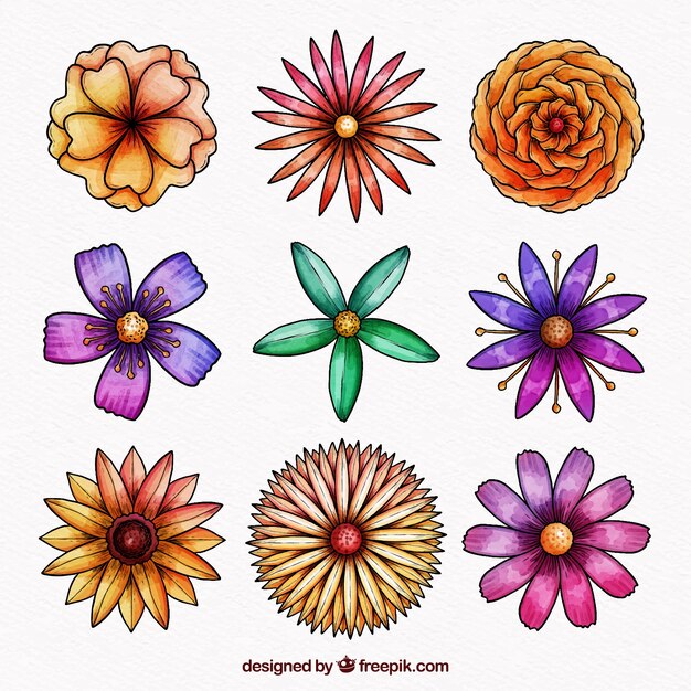 Colección de flores de primavera en acuarela