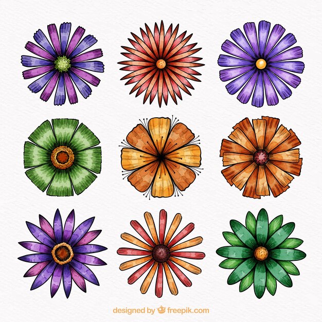 Colección de flores de primavera en acuarela