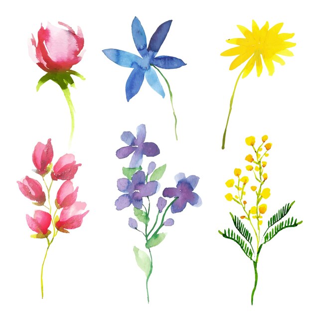 Colección de flores de primavera en acuarela