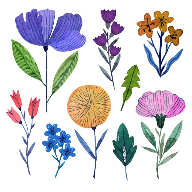 Colección de flores de primavera acuarela