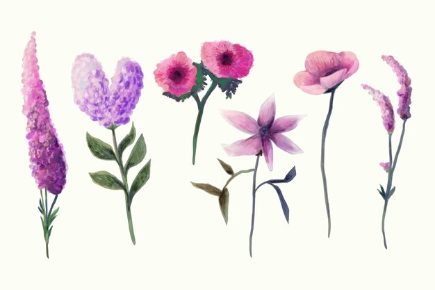 Colección de flores de primavera en acuarela