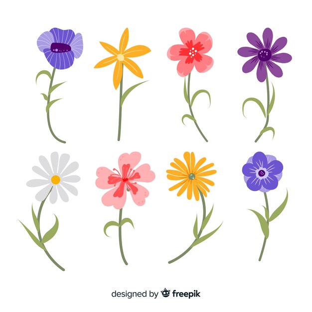 Colección flores primavera bonitas