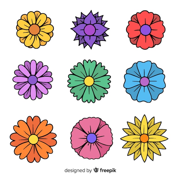 Colección de flores de primavera de colores