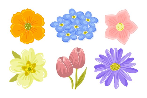 Colección de flores de primavera colorida dibujada a mano