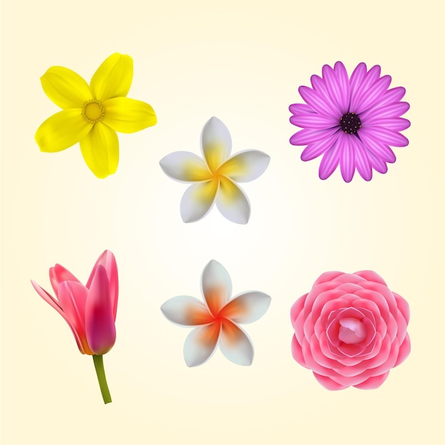 Colección de flores de primavera detallada realista