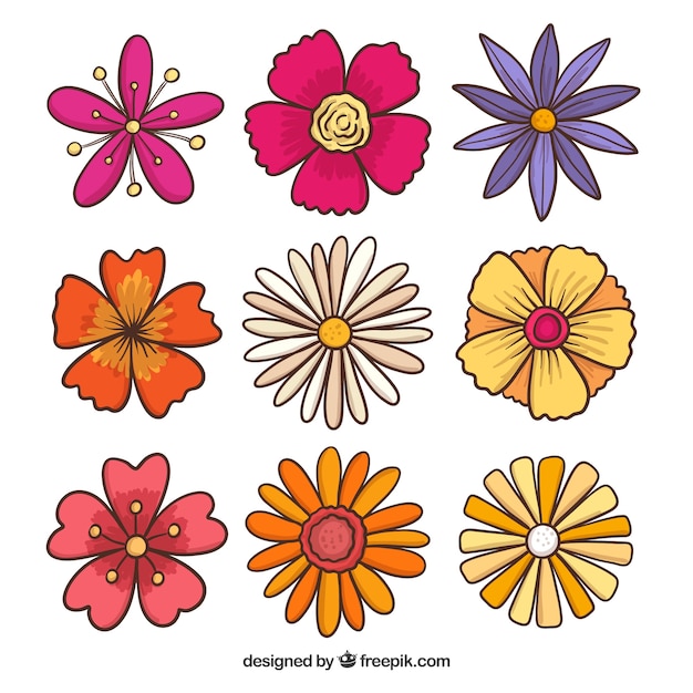 Colección de flores de primavera dibujadas a mano