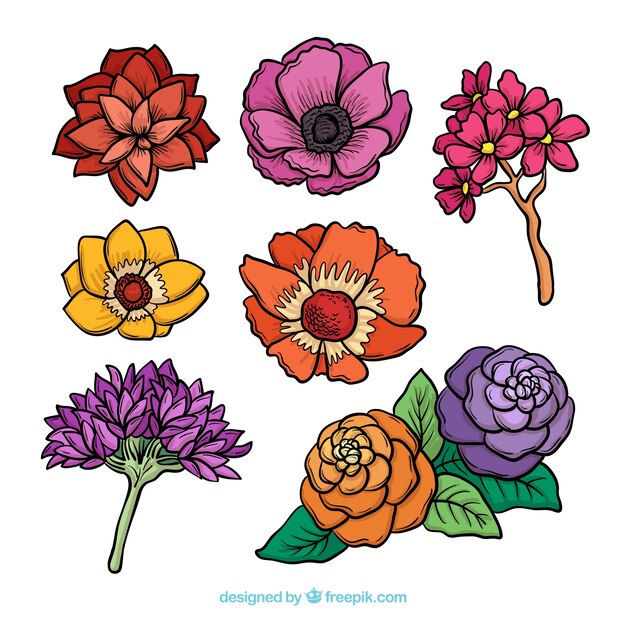 Vector gratuito colección de flores de primavera dibujadas a mano