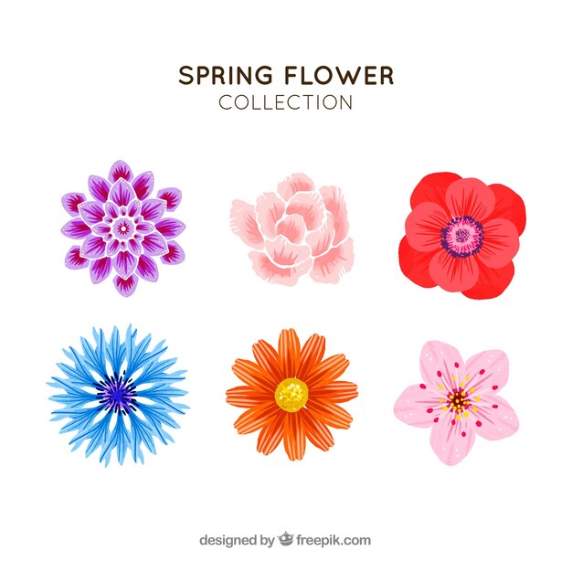 Colección de flores de primavera dibujadas a mano