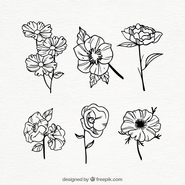 Colección de flores de primavera dibujadas a mano