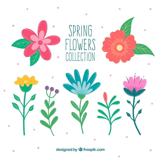 Colección de flores de primavera dibujadas a mano