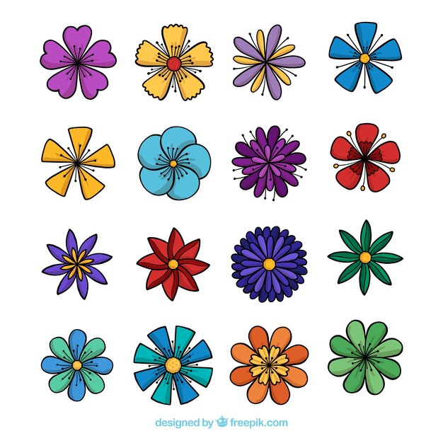 Colección de flores de primavera dibujadas a mano