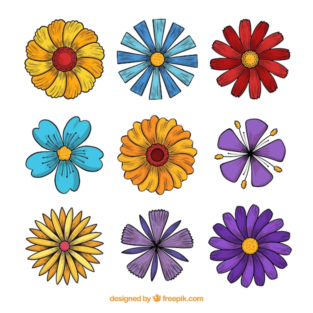 Vector gratuito colección de flores de primavera dibujadas a mano