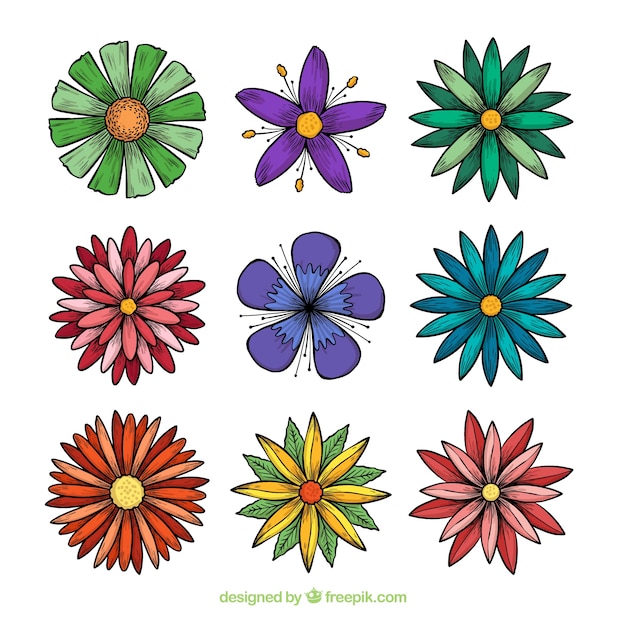 Colección de flores de primavera dibujadas a mano