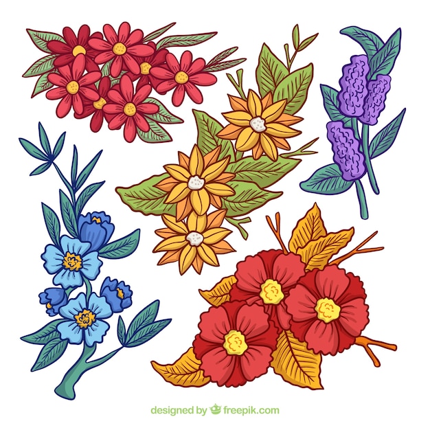 Vector gratuito colección de flores de primavera dibujadas a mano