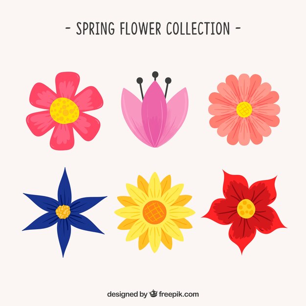 Colección de flores de primavera dibujadas a mano