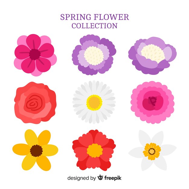 Colección flores primavera dibujadas a mano