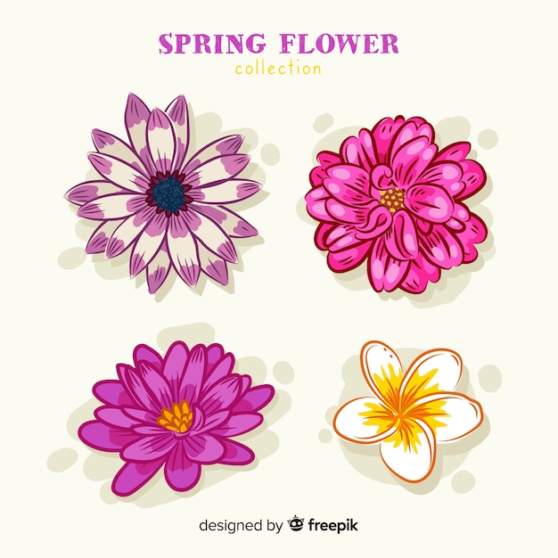 Vector gratuito colección flores primavera dibujadas a mano