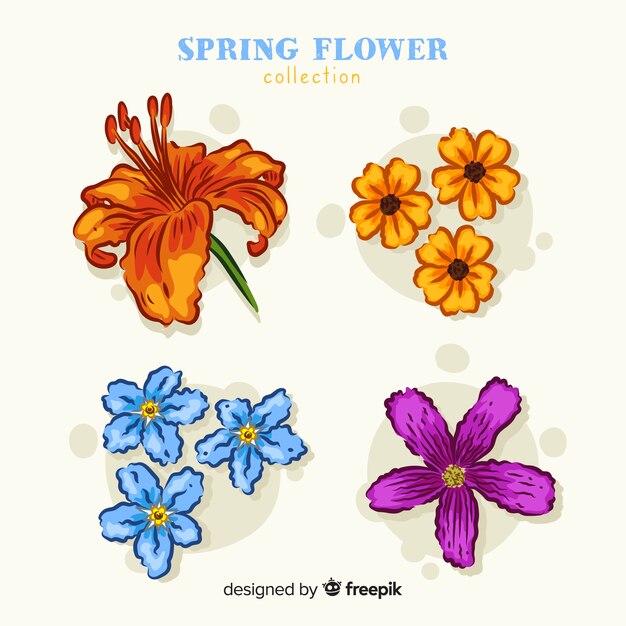Colección flores primavera dibujadas a mano