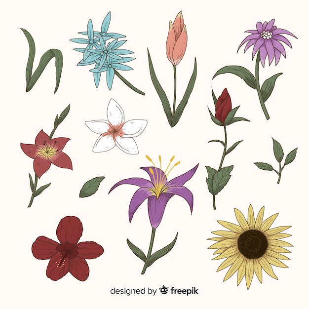 Vector gratuito colección flores primavera dibujadas a mano