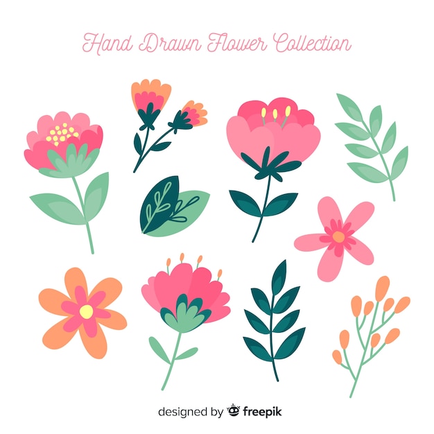 Colección de flores de primavera dibujadas a mano