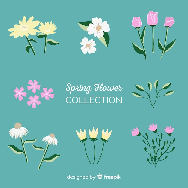 Colección de flores de primavera dibujadas a mano