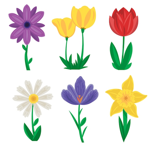 Colección de flores de primavera dibujadas a mano
