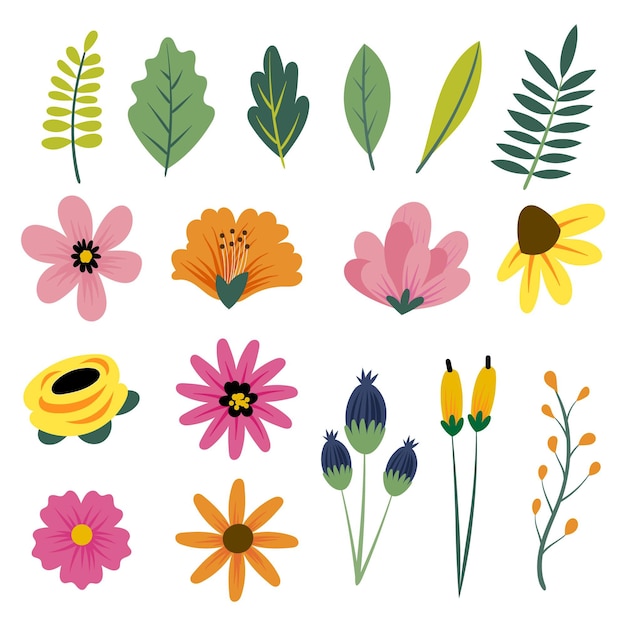 Colección flores de primavera dibujadas a mano