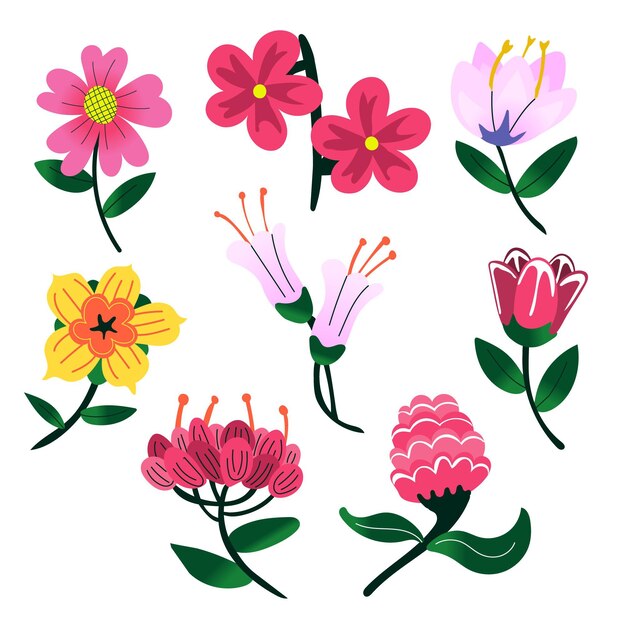Colección de flores de primavera dibujadas a mano