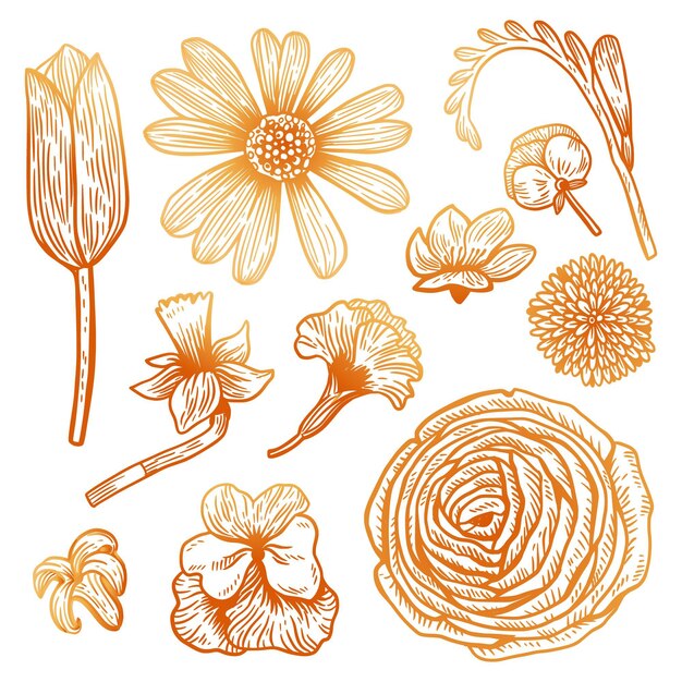Colección de flores de primavera dibujadas a mano