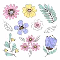 Vector gratuito colección de flores de primavera dibujadas a mano