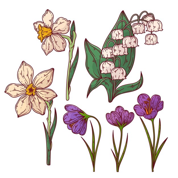 Colección de flores de primavera dibujadas a mano