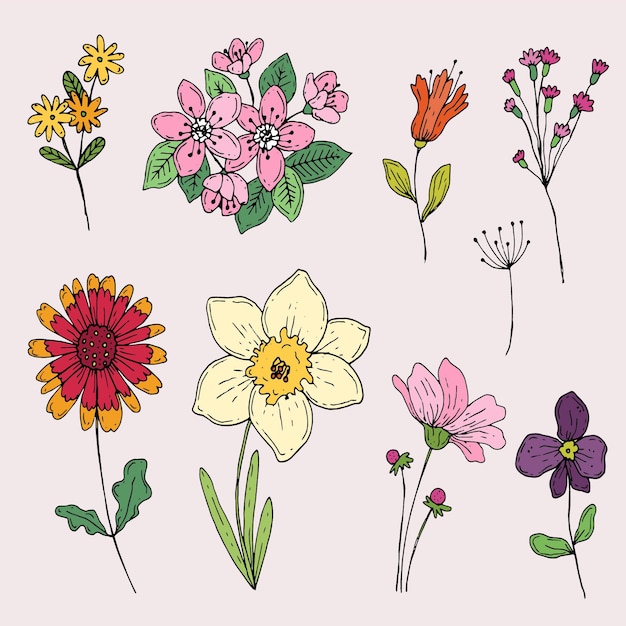 Vector gratuito colección de flores de primavera dibujadas a mano