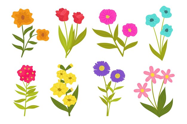 Colección de flores de primavera dibujadas a mano