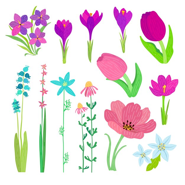 Colección de flores de primavera dibujado a mano