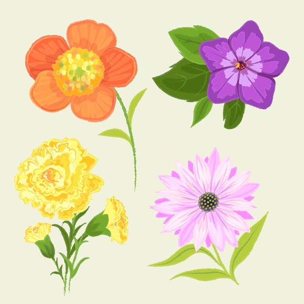 Colección de flores de primavera de diseño dibujado a mano