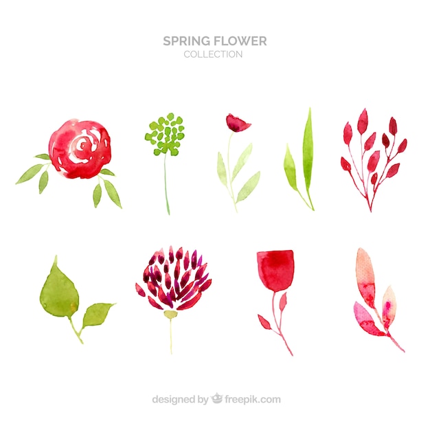 Colección de flores de primavera en estilo acuarela