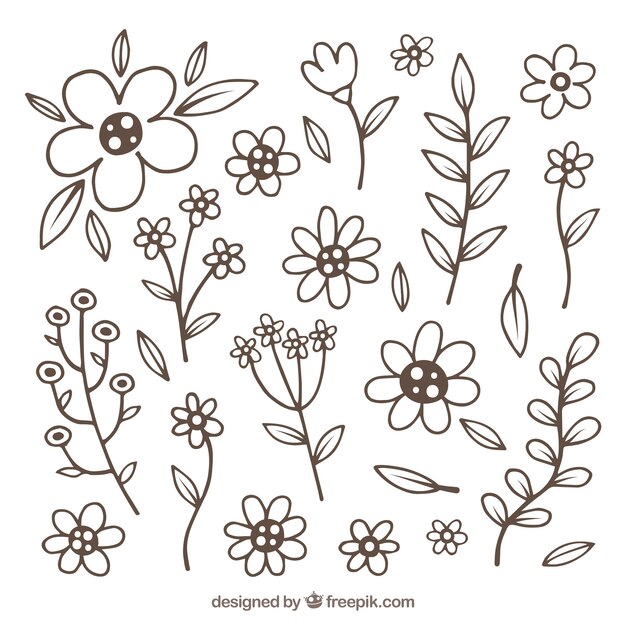 Colección de flores de primavera en estilo dibujado a mano