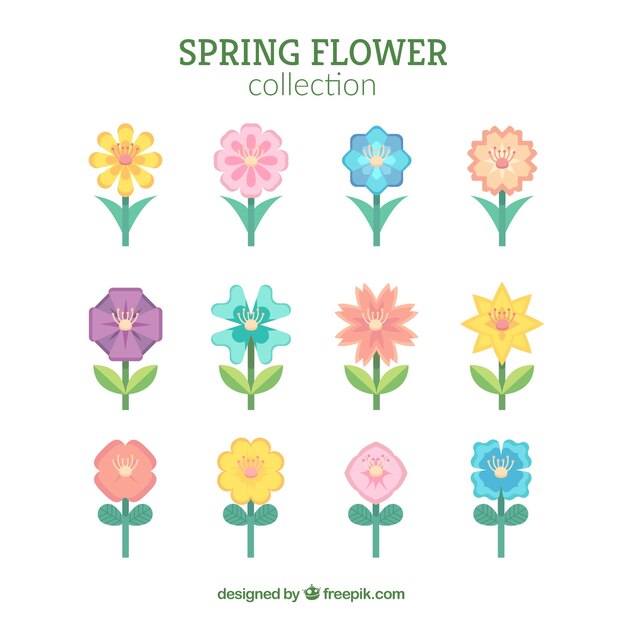 Colección de flores de primavera en estilo plano