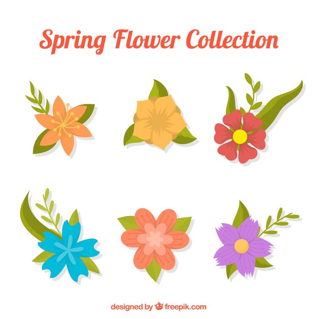 Colección de flores de primavera en estilo plano